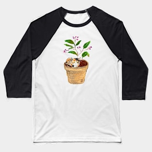 Cat in a pot Baseball T-Shirt